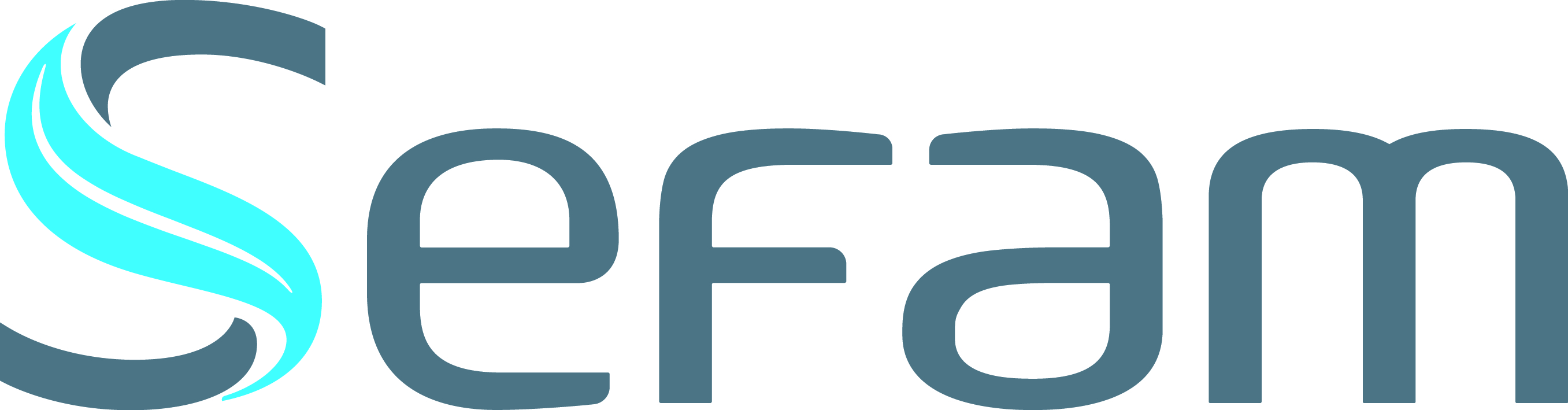 SEFAM 